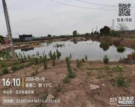 横栏镇五沙村五队绿肥地花地（新荣河边）（中山市横栏镇五沙股份合作经济联合社(五组)）