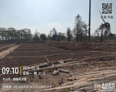 横栏镇五沙村五队自耕地千斤圈西片（中山市横栏镇五沙股份合作经济联合社(五组)）