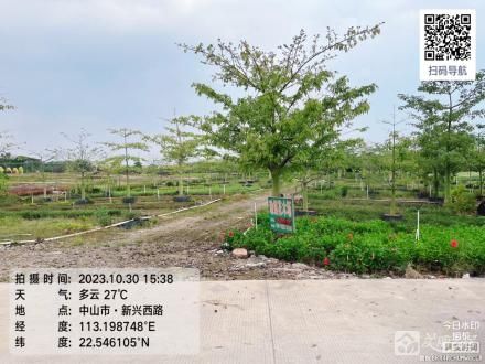 横栏镇五沙村五队围角地（路东北起1号）（中山市横栏镇五沙股份合作经济联合社（五组））