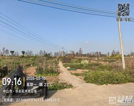 横栏镇五沙村五队围角（路西南起2号）（中山市横栏镇五沙股份合作经济联合社（五组））