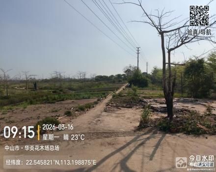 横栏镇五沙村五队围角地（路东北起2号）（中山市横栏镇五沙股份合作经济联合社（五组））