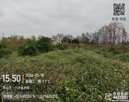 横栏镇五沙村五队围角地（路东北起4号）（中山市横栏镇五沙股份合作经济联合社（五组））