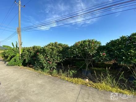 广益围土地135亩（中山市大涌镇大涌社区股份合作经济联合社）