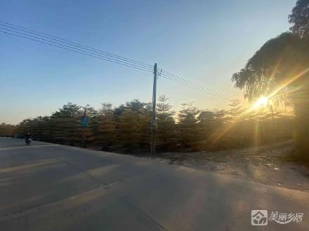 芒结岭26.39亩土地（中山市大涌镇安堂社区股份合作经济联合社）