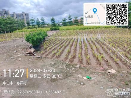 横栏镇裕祥村荔枝基土地（中山市横栏镇裕祥股份合作经济联合社）