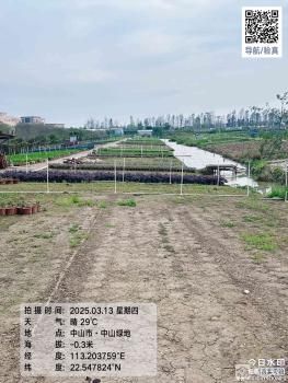 横栏镇五沙村六队牛栏塘4号地（中山市横栏镇五沙股份合作经济联合社（六组））