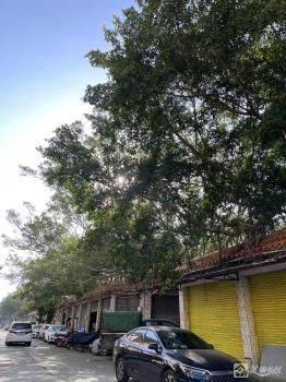 康华路39号后排铺位（湖滨北路西二大街21-22卡）（中山市石岐区张溪股份合作经济联合社）