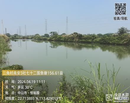 南安3社七十二围鱼塘156.61亩（中山市三角镇三角村南安3社）