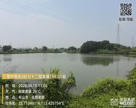 南安3社七十二围鱼塘156.61亩（中山市三角镇三角村南安3社）