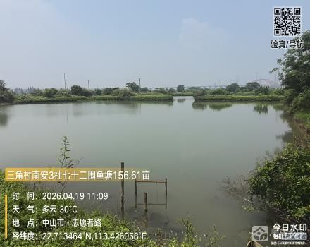 南安3社七十二围鱼塘156.61亩（中山市三角镇三角村南安3社）