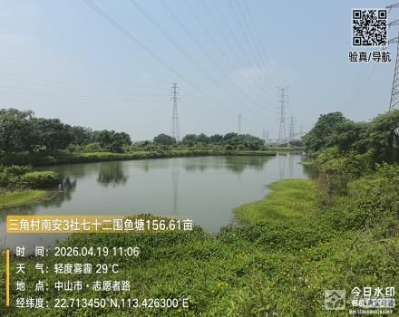 南安3社七十二围鱼塘156.61亩（中山市三角镇三角村南安3社）