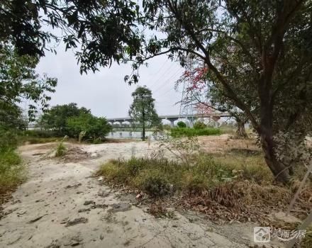 炮台围土地3亩（中山市大涌镇叠石村股份合作经济联合社）