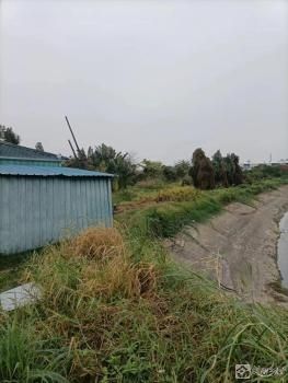 油菜地2号（中山市小榄镇同乐社区同德经济合作社）
