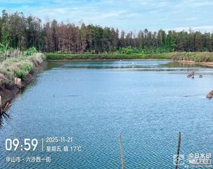横栏镇六沙村北二组细沙二丰围5号塘（中山市横栏镇六沙股份合作经济联合社（北二队））
