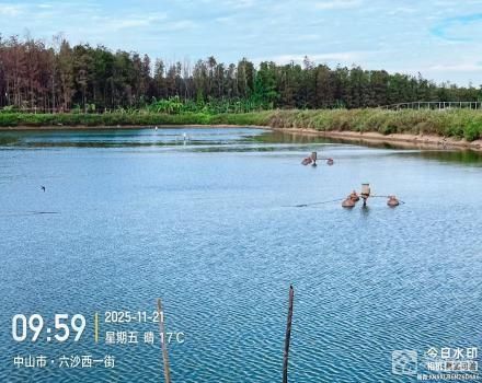 横栏镇六沙村北二组细沙二丰围5号塘（中山市横栏镇六沙股份合作经济联合社（北二队））