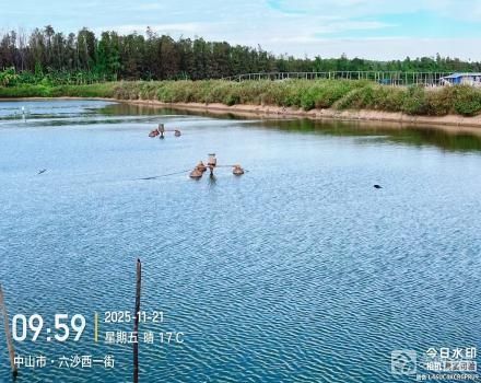 横栏镇六沙村北二组细沙二丰围5号塘（中山市横栏镇六沙股份合作经济联合社（北二队））