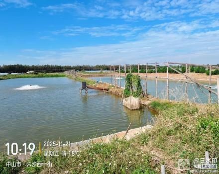 横栏镇六沙村北二组细沙上围15号塘（中山市横栏镇六沙股份合作经济联合社（五一队））