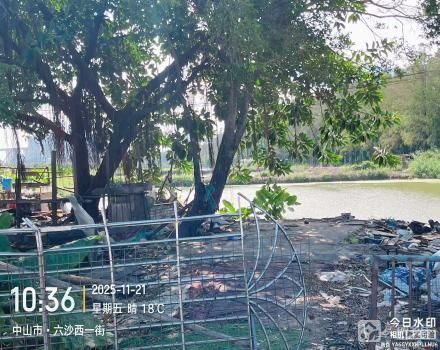 横栏镇六沙村北二组细沙上围21号塘（中山市横栏镇六沙股份合作经济联合社（五一队））