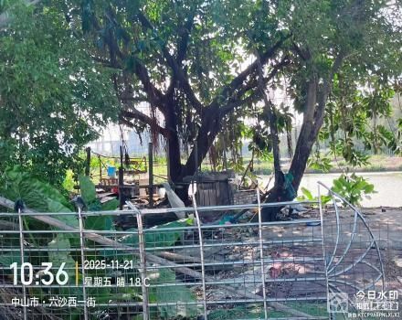 横栏镇六沙村北二组细沙上围21号塘（中山市横栏镇六沙股份合作经济联合社（五一队））