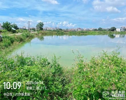 横栏镇六沙村北二组三十亩1号塘（中山市横栏镇六沙股份合作经济联合社（五一队））