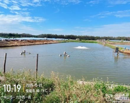 横栏镇六沙村北二组细沙上围15号塘（中山市横栏镇六沙股份合作经济联合社（五一队））