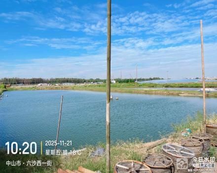 横栏镇六沙村北二组细沙上围17号塘（中山市横栏镇六沙股份合作经济联合社（五一队））
