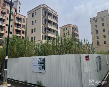 竹仔林空地003（中山市南朗镇南朗股份合作经济联合社）