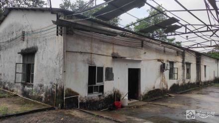 南塘“原希达花厂”（中山市南朗街道榄边村南塘经济合作社）