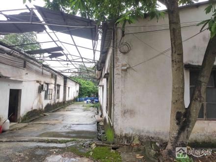 南塘“原希达花厂”（中山市南朗街道榄边村南塘经济合作社）