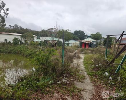 关帝庙前鱼塘及土地（中山市南朗镇关塘村土草朗经济合作社）