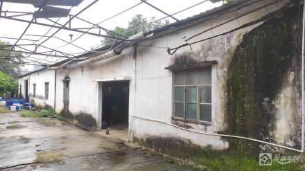 南塘“原希达花厂”（中山市南朗街道榄边村南塘经济合作社）