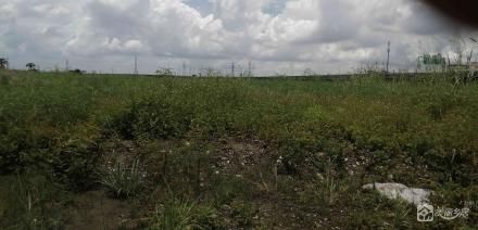 小榄镇坦背村第六经济合作社隆生土地、隆生以西土地（中山市小榄镇坦背村第六经济合作社））