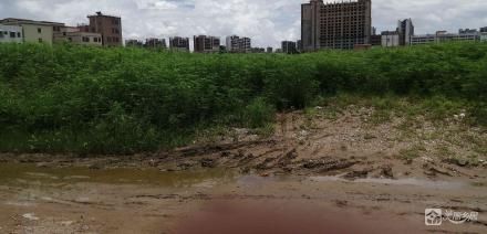 小榄镇坦背村第六经济合作社隆生土地、隆生以西土地（中山市小榄镇坦背村第六经济合作社））