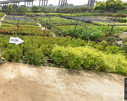 横栏镇三沙村七组沙头花地15号地（中山市横栏镇三沙股份合作经济联合社（七组）））
