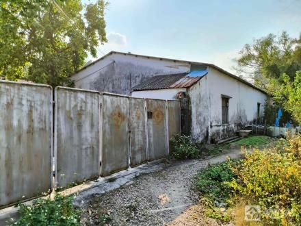 南塘“原希达花厂”（中山市南朗街道榄边村南塘经济合作社）