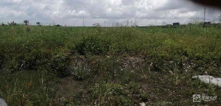 小榄镇坦背村第六经济合作社隆生土地、隆生以西土地（中山市小榄镇坦背村第六经济合作社））