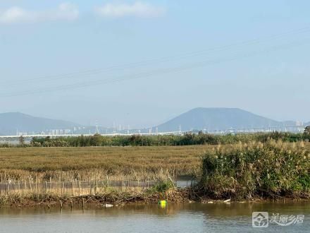 中山市神湾镇竹排村西冲口上海滩（中山市神湾镇竹排村股份合作经济联合社）
