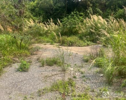 北台土名“深坑”寮云路尾（中山市南区北台股份合作经济联合社）