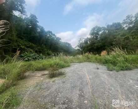 北台土名“深坑”寮云路尾（中山市南区北台股份合作经济联合社）