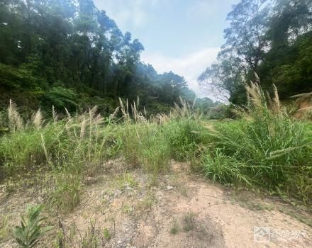 北台土名“深坑”寮云路尾（中山市南区北台股份合作经济联合社）
