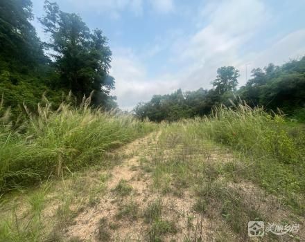 北台土名“深坑”寮云路尾（中山市南区北台股份合作经济联合社）