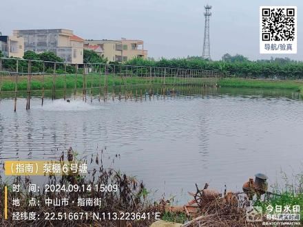 横栏镇宝裕村指南泵棚6号农用地（中山市横栏镇宝裕股份合作经济联合社（指南））