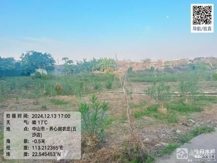 横栏镇五沙村一队连喜塘（中山市横栏镇五沙股份合作经济联合社（一组））