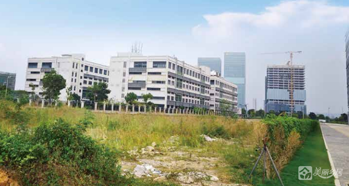南朗街道婆山围222亩