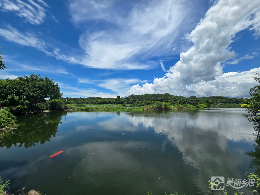 南朗街道左步村沙岗空闲地及周边鱼塘