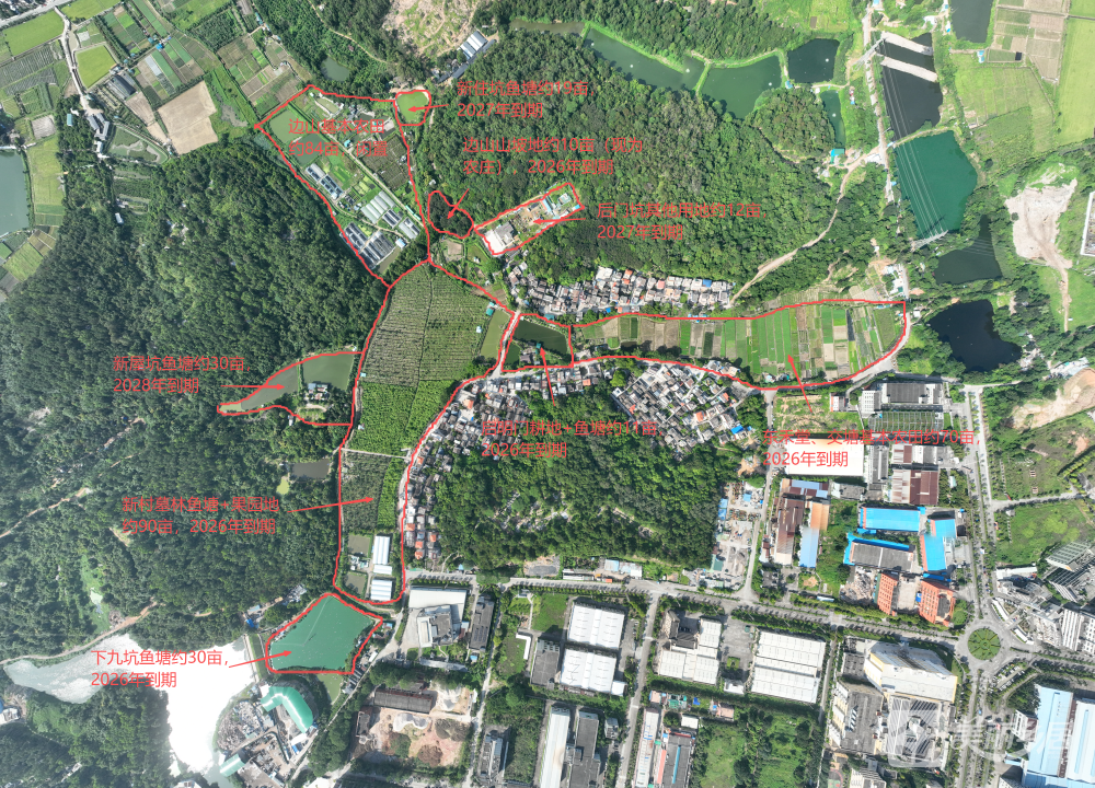南朗街道龙穴村