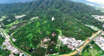 塘敢村