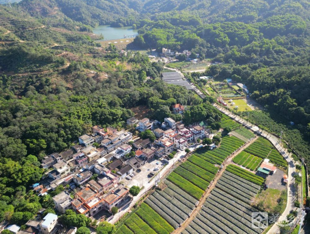 神湾镇丫髻山神溪片区+古宥片区