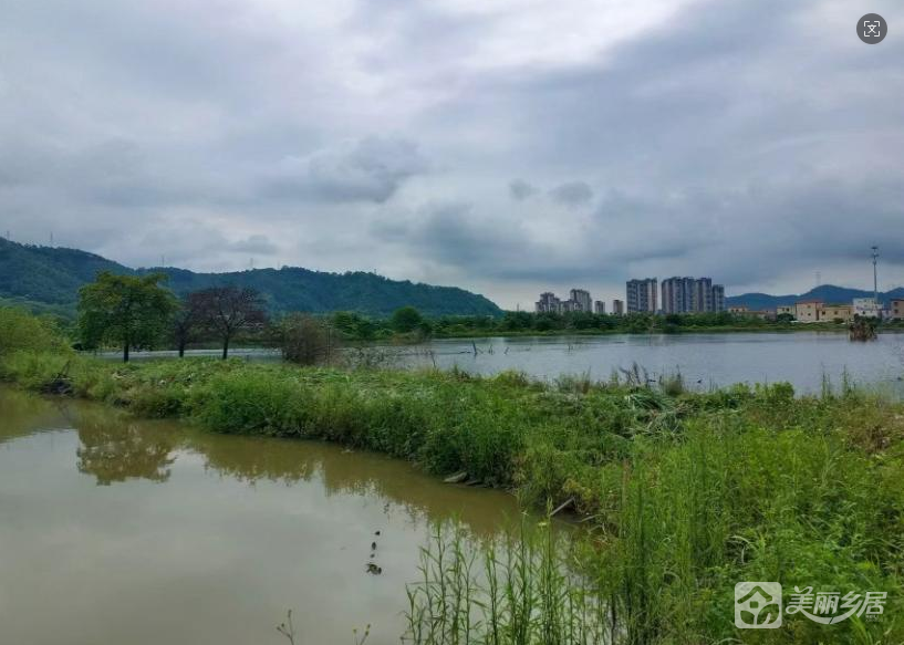 神湾镇外沙村后隆街