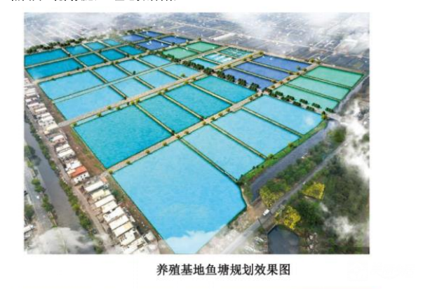 广东省中山市横栏镇现代设施渔业产业示范项目